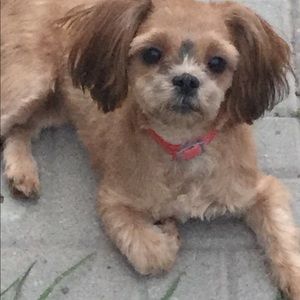 Meet your Posher, Brenda